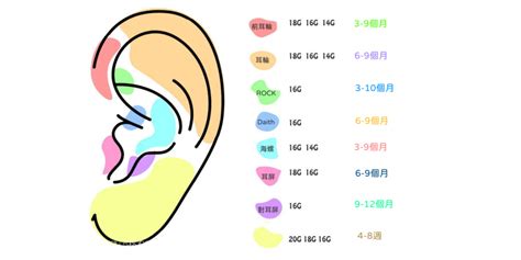 疼痛指數耳洞位置|穿耳洞知識大全，手穿會痛嗎？耳洞術後怎麼保養呢？。